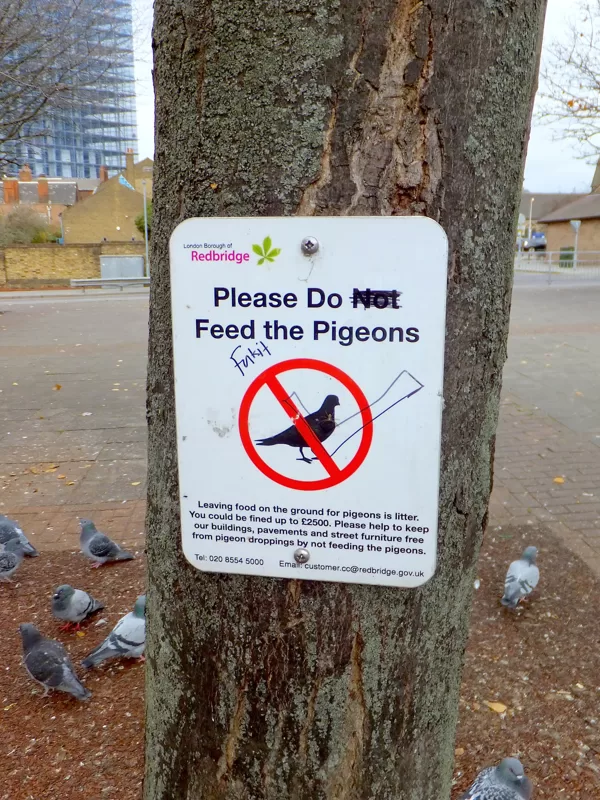 Please Do Not Feed the Pigeons £2500 Fine (2017)