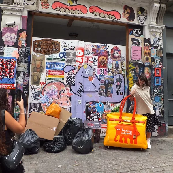 SAINSBURY'S BIRKIN BAG Outside Secret Art London Gallery