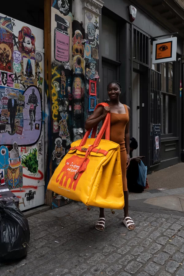 SAINSBURY'S BIRKIN BAG Outside Secret Art London Gallery